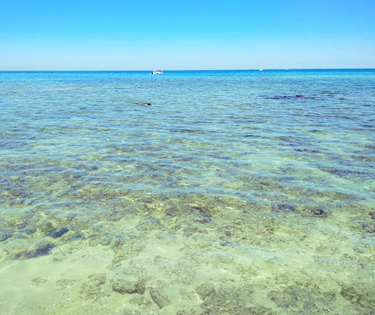 Voir Mer Monopoli Pouilles