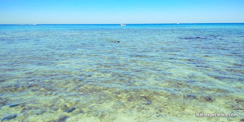 Vedere spiagge capitolo monopoli puglia