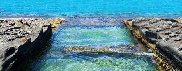  El mar y las rocas de mejillón