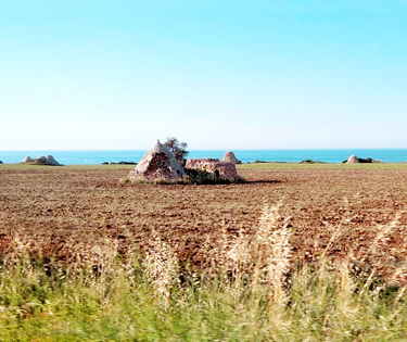 Vacanze in Puglia Beckham