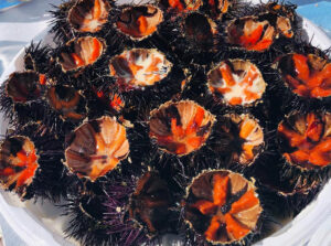 Raw sea urchins from Bari