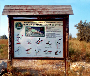 Besuchen Sie die Saline Margherita di Savoia