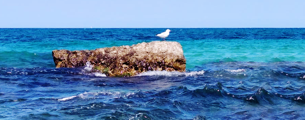  Costa de Bari: ¡42 km de costa con un mar muy limpio!