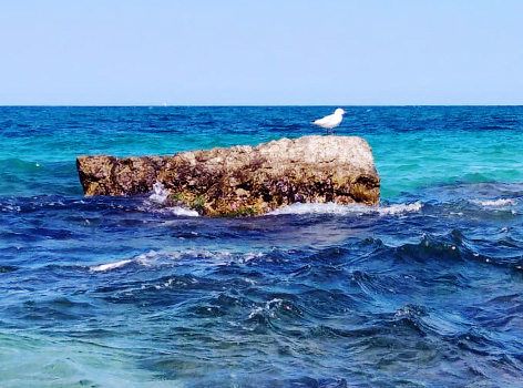 calidad del mar Bari Puglia