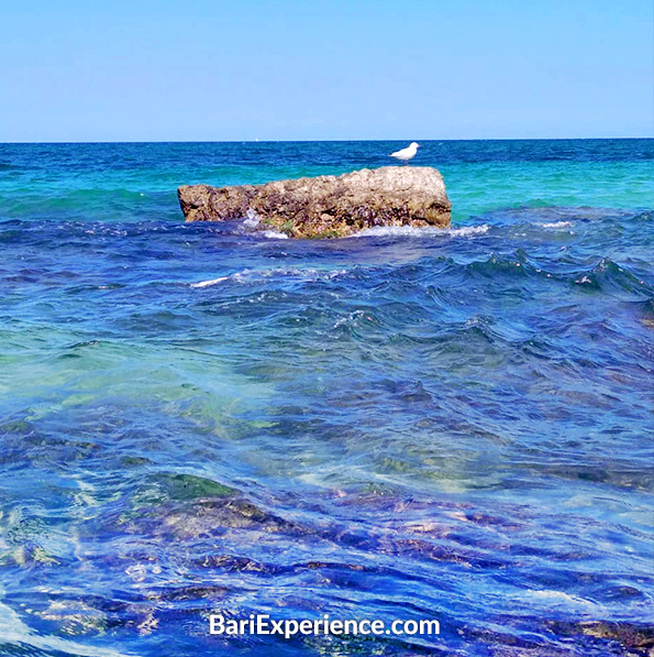 Plaże Torre i Mare Bari Apulia