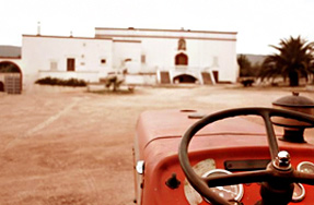 Visita a la granja del molino de aceite de Puglia