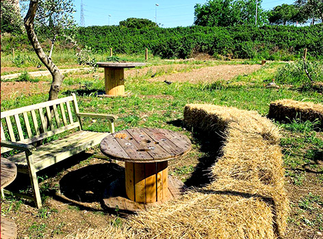 Huerto urbano social Ortodomingo