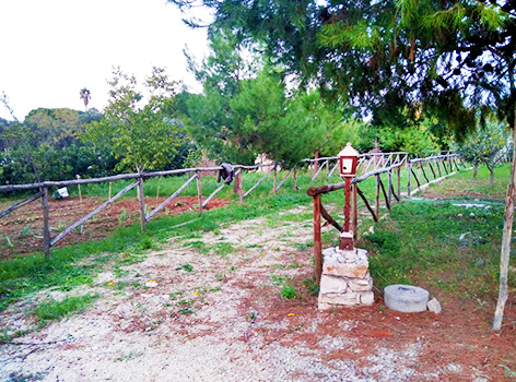 Jardin urbain social de Bari Carbonara