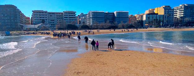  ¿Caminar sobre el agua? En Bari puedes, si hay marea baja. 