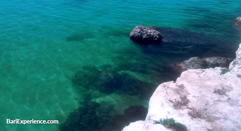 Sea and beaches in Puglia