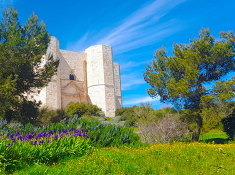 Odwiedź wycieczki z przewodnikiem po Castel del Monte