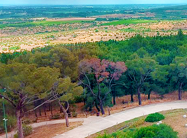 Hill of Castel del Monte Puglia