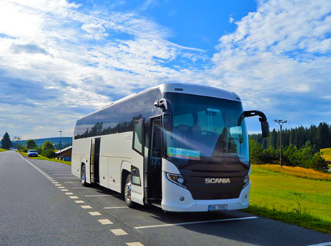 Da Bari a Polignano a Mare in Bus