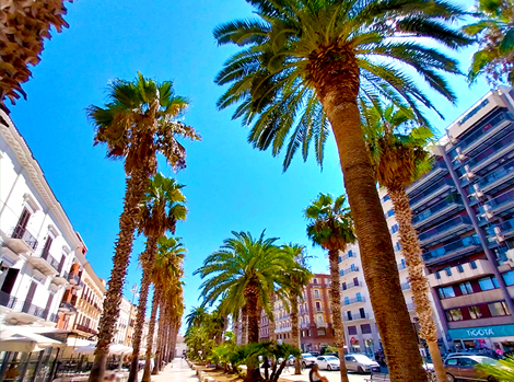 Bari Italian city with the best climate 2024 2025