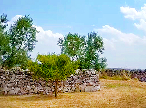 Itinerari cicloturismo trekking Puglia Murgia