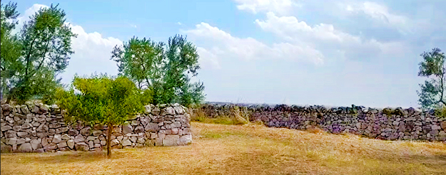 Puglia in bici nella natura dell'Alta Murgia