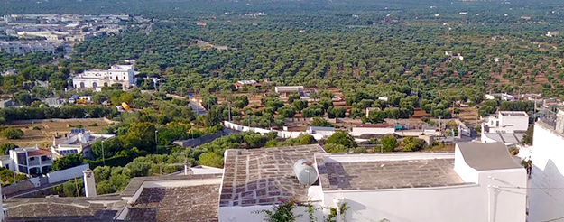 Cycle of the Apulian cycle tourism aqueduct